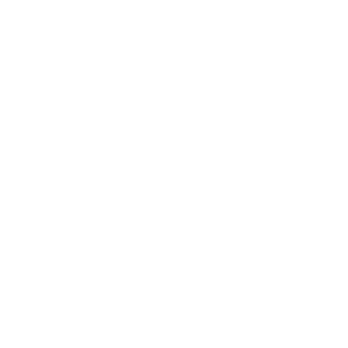 White outline graphic of an old-time camera. Illustrating a link to the video page.
