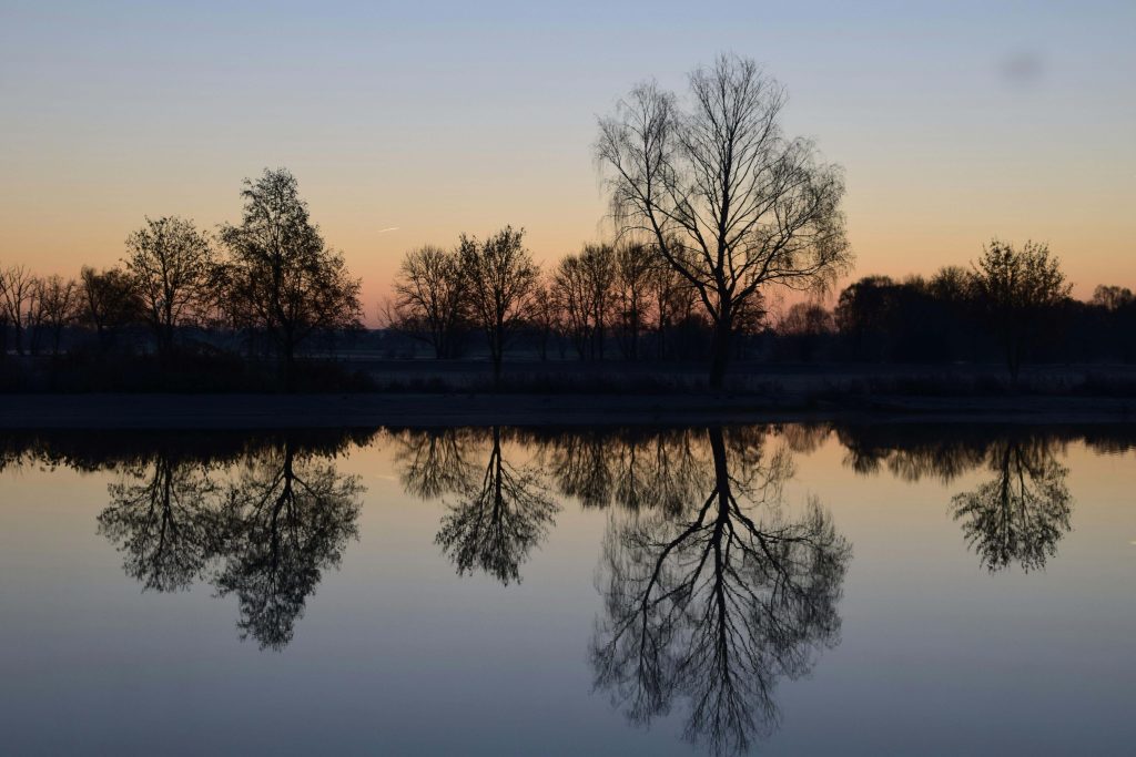 A peaceful scene of a lake shore with trees, sunset, and sky reflected in the water. Illustrating the love, joy, and peace I found after leaving the LDS church.